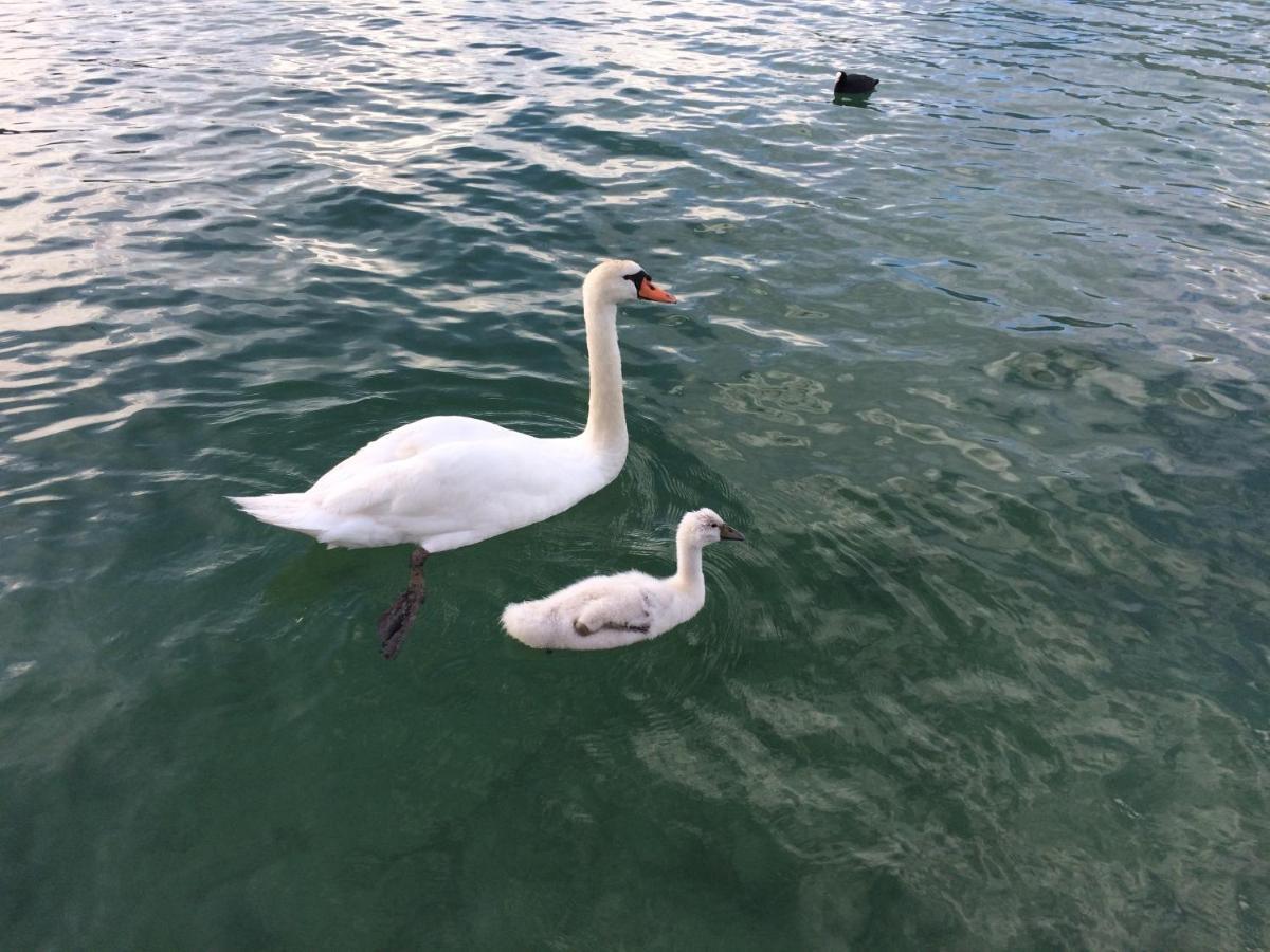Lac Annecy Plage Privee, Duplex Baie Des Voiles دْوا المظهر الخارجي الصورة